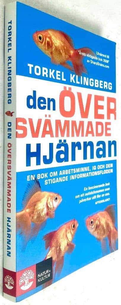Torkel Klingberg : Den översvämmade hjärnan