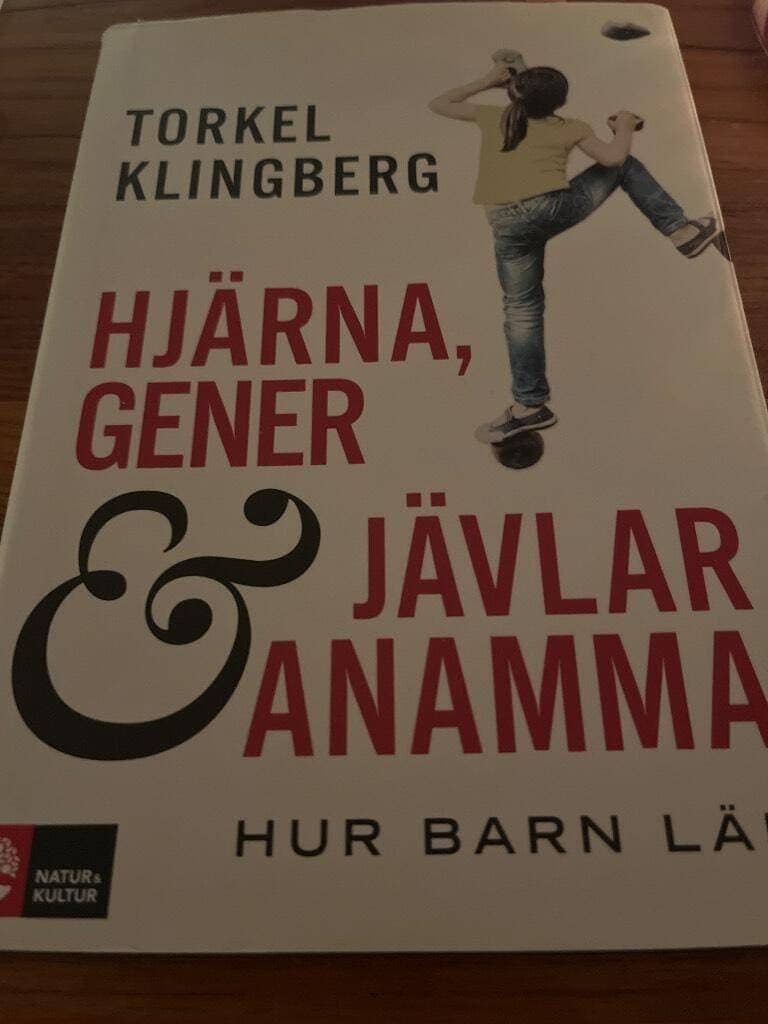 Torkel Klingberg : Hjärna, gener och jävlar anamma