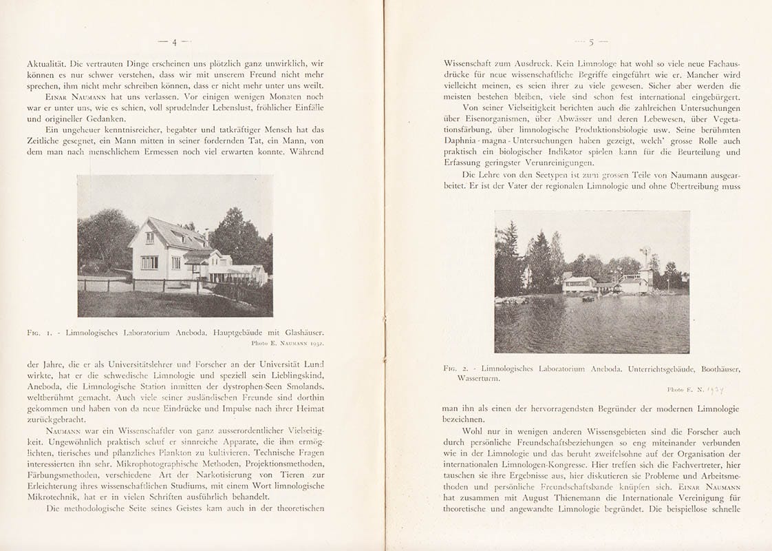 Torsten Gislén : Einar Naumann