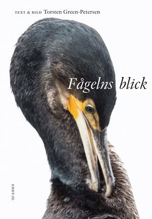 Torsten Green-Petersen : Fågelns blick