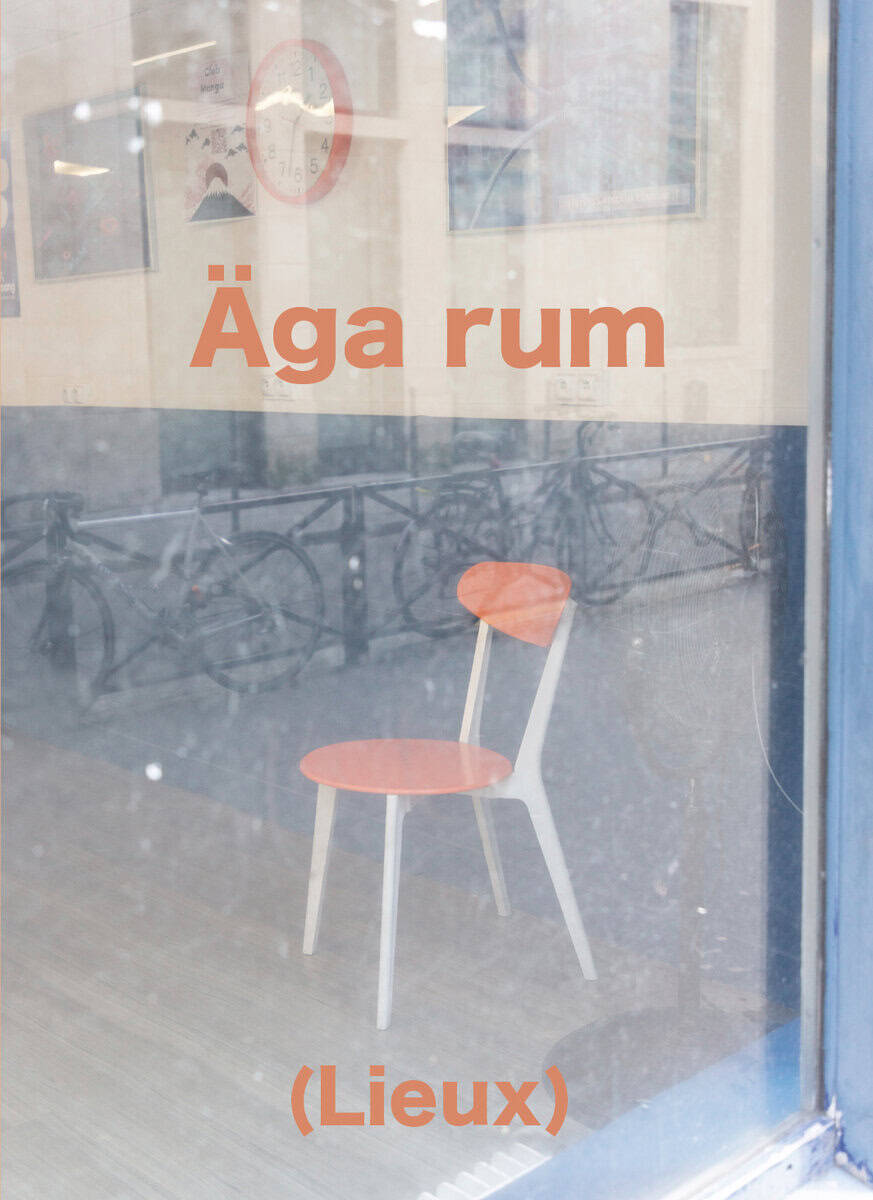 Torun Börtz : Äga rum (Lieux)