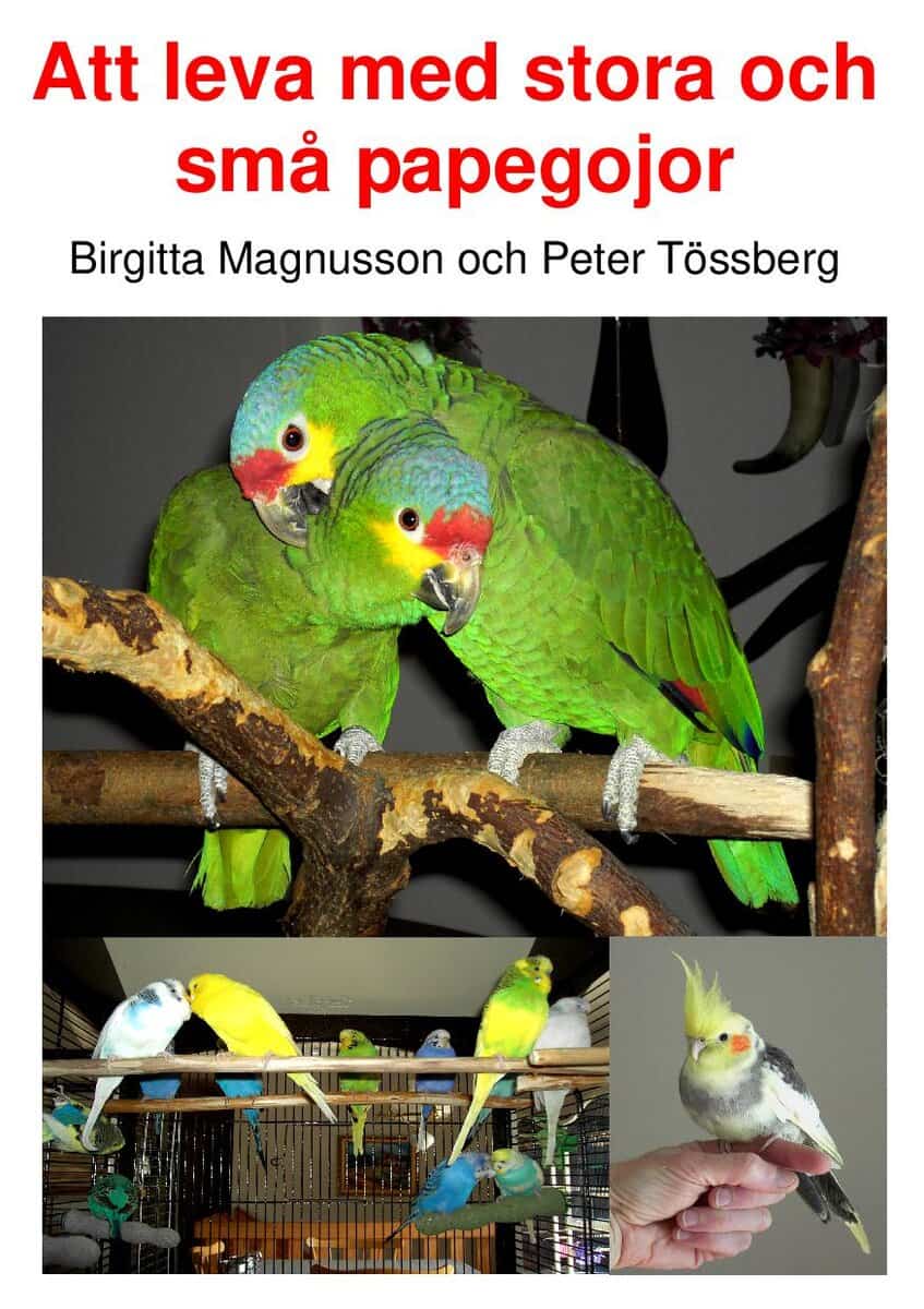 Tössberg, Peter ; Magnusson, Birgitta : Att leva med stora och små papegojor