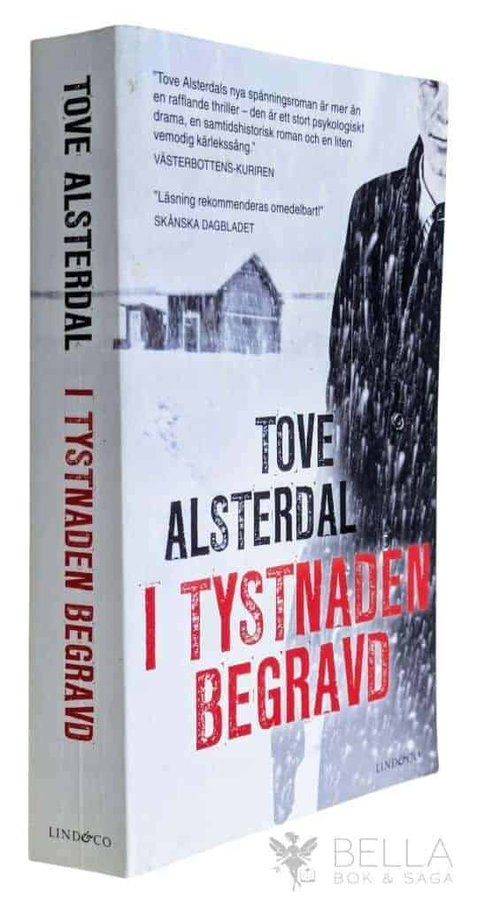 Tove Alsterdal : I tystnaden begravd - Gränsland - Bok 2