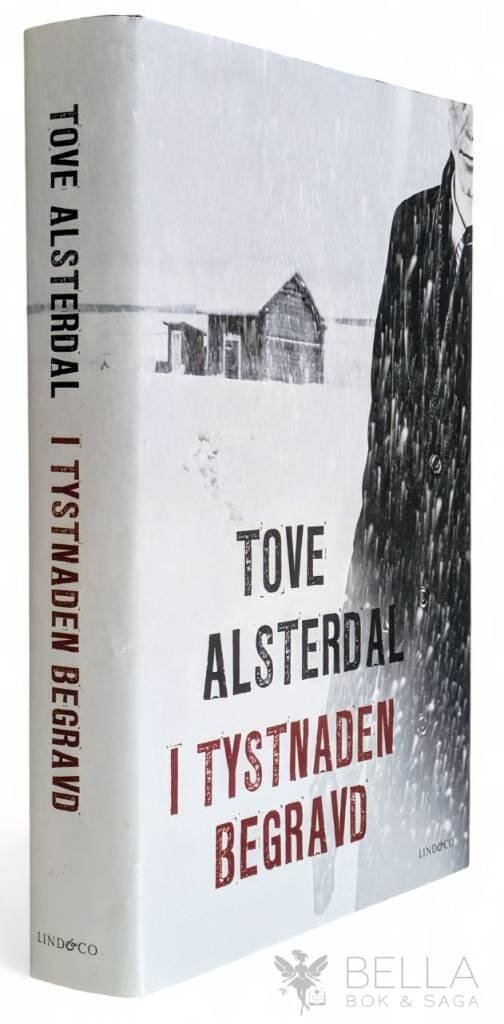 Tove Alsterdal : I tystnaden begravd - Gränsland - Bok 2