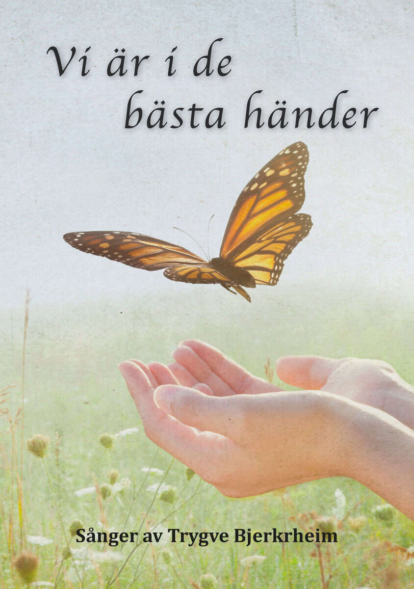 Trygve Bjerkrheim : Vi är i de bästa händer