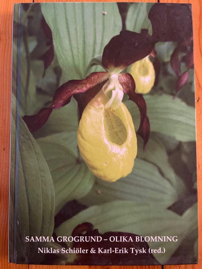 Tysk, Karl-Erik ; Schiöler, Niklas ; Skaraborgs akademi : Samma grogrund - olika blomning