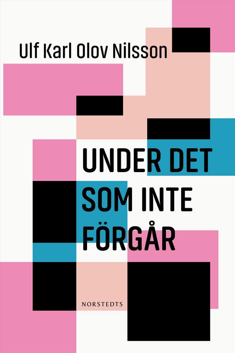 Ulf Karl Olov Nilsson : Under det som inte förgår
