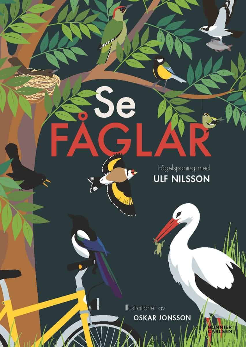 Ulf Nilsson : Se fåglar
