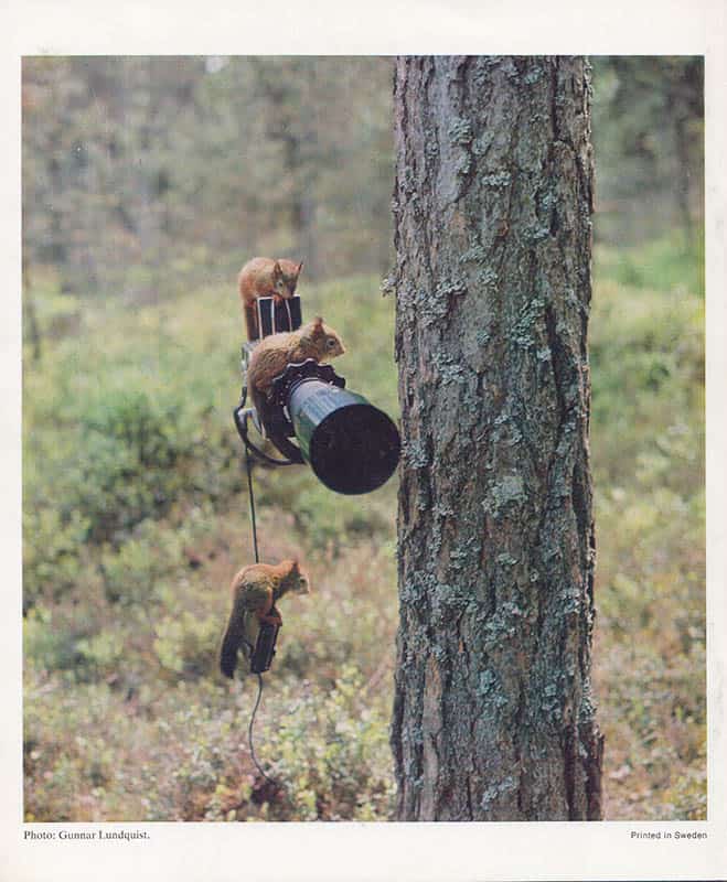 Ulf Sjöstedt : Hasselblad 1973, 2