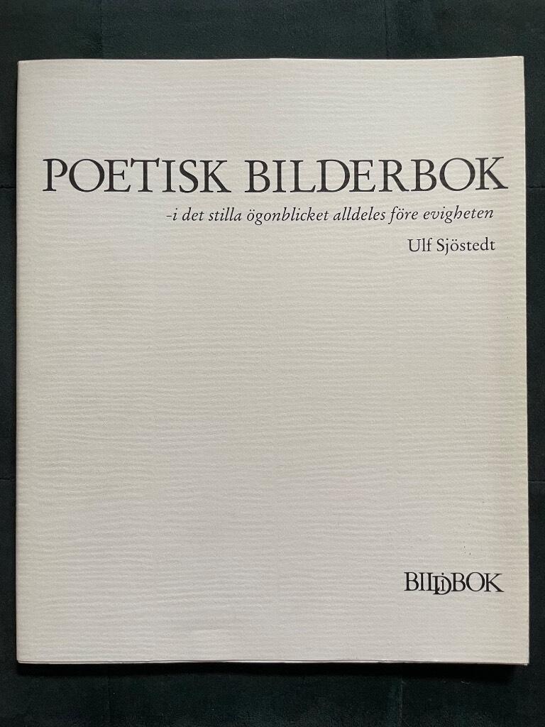 Ulf Sjöstedt : Poetisk bilderbok - i det stilla ögonblicket alldeles före evigheten
