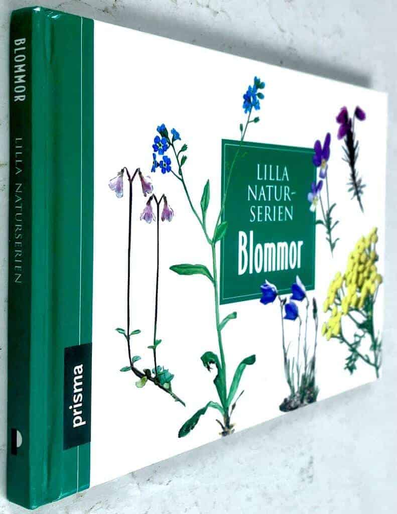 Ulf Svedberg : Blommor - Lilla naturserien