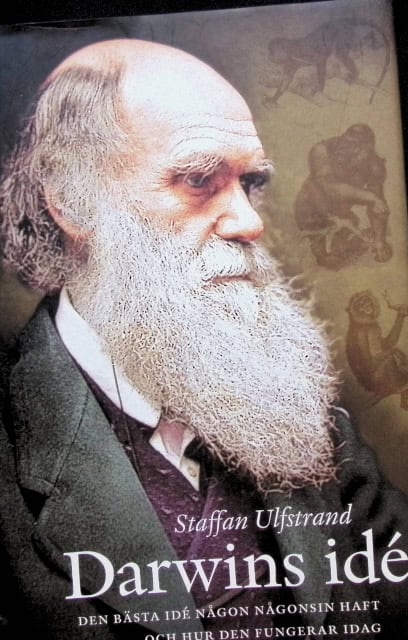 Ulfstrand Staffan : Darwins idé