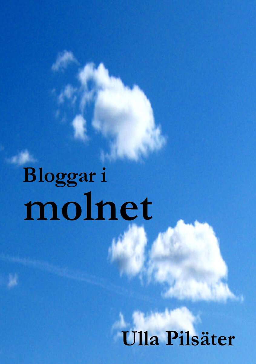Ulla Pilsäter : Bloggar i molnet