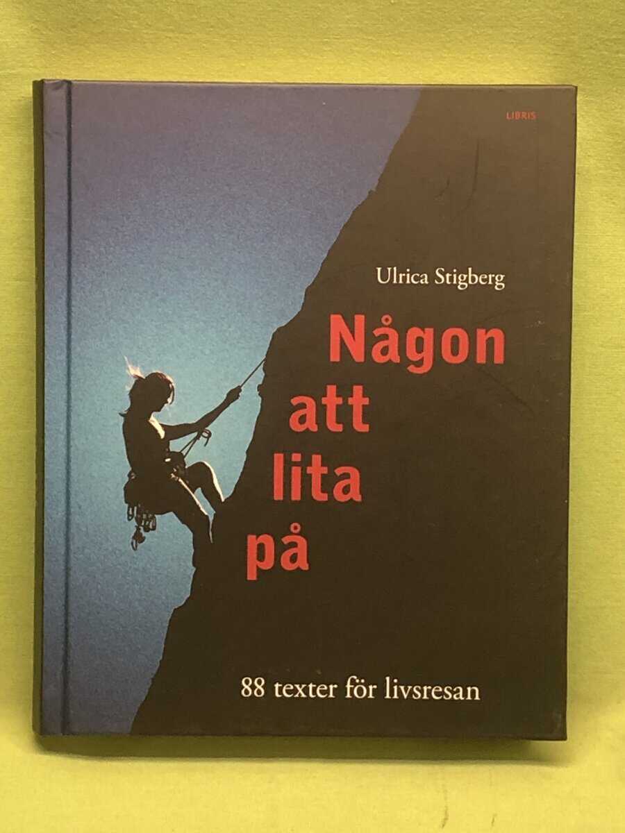 Ulrica Stigberg : Någon att lita på