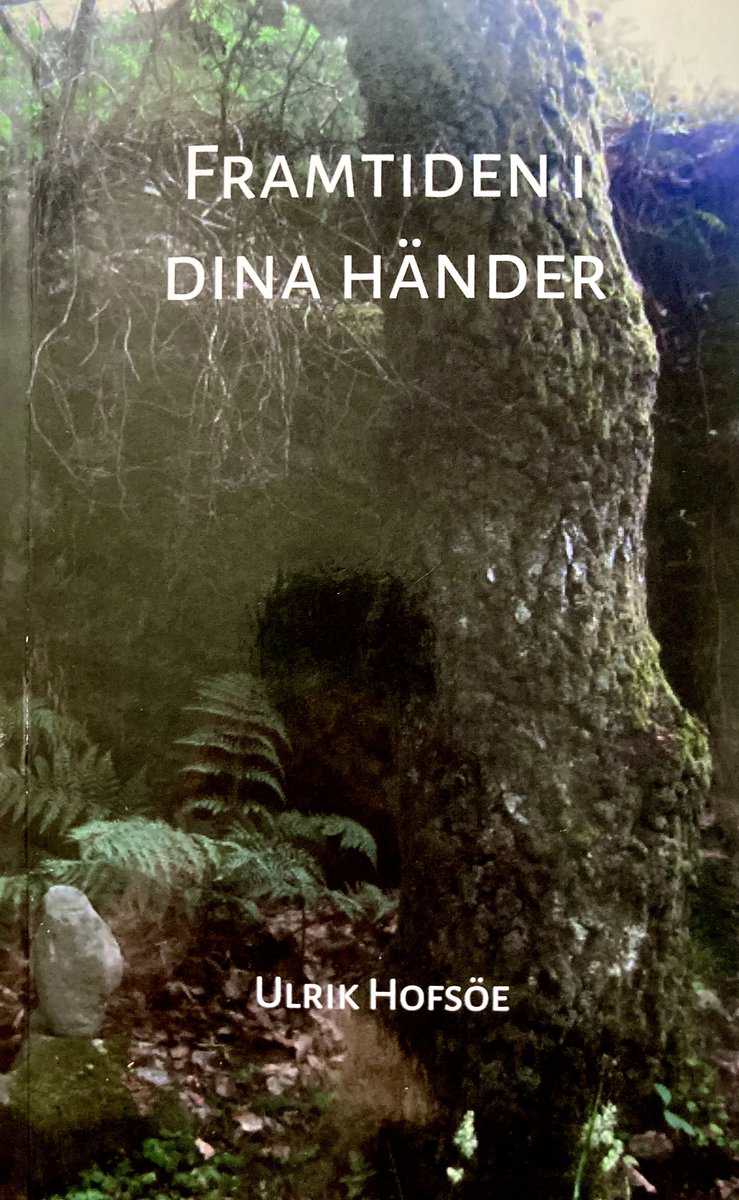 Ulrik Hofsöe : Framtiden i dina händer : friheten och kärlekens realitet