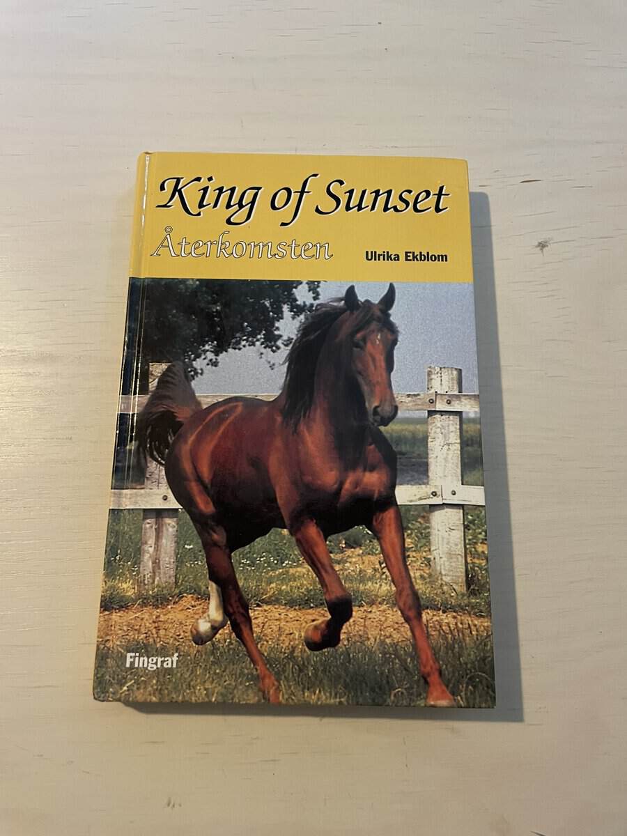 Ulrika Ekblom : King of Sunset - återkomsten
