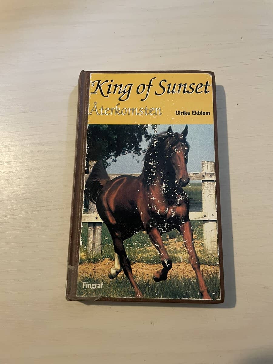 Ulrika Ekblom : King of Sunset - återkomsten