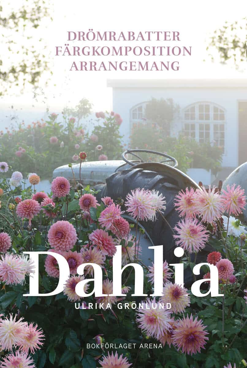 Ulrika Grönlund : Dahlia : drömrabatter, färgkomposition och arrangemang