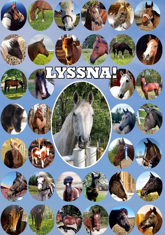 Ulrika Sjöberg : Lyssna! : en bok av hästar för människor
