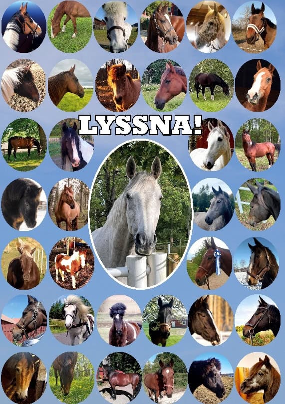 Ulrika Sjöberg : Lyssna! : en bok av hästar för människor