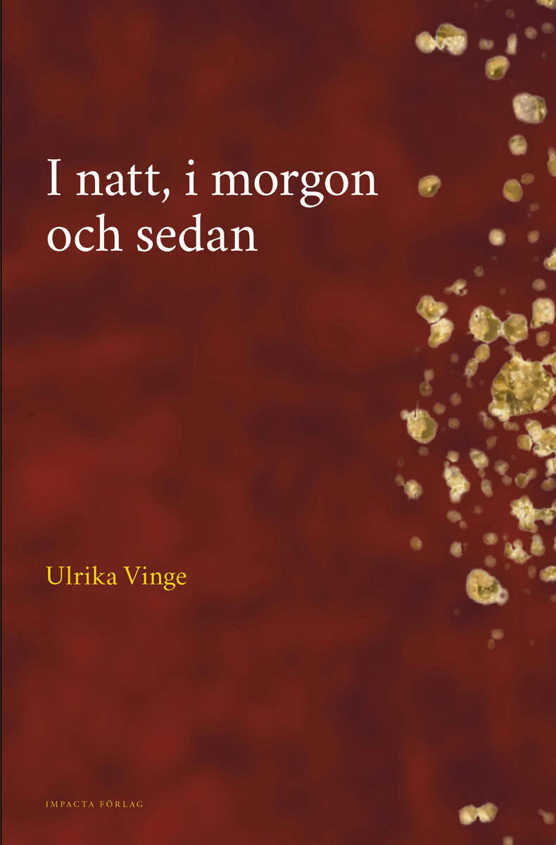 Ulrika Vinge : I natt, i morgon och sedan