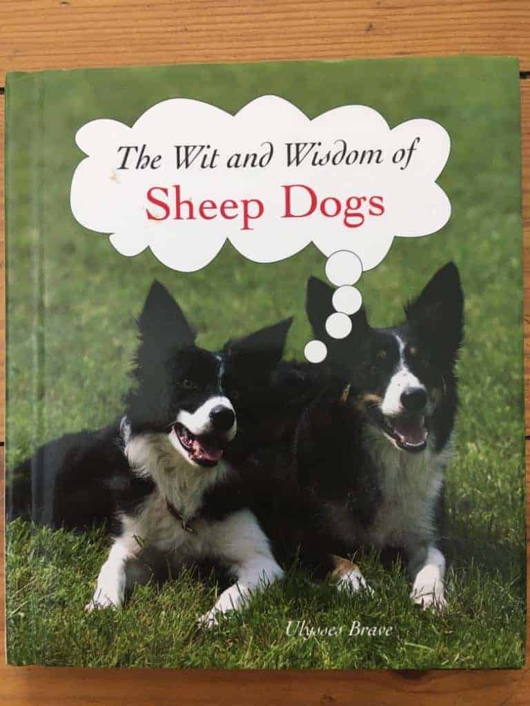 Ulysses Brave : The Wit and Wisdom of Sheep Dogs