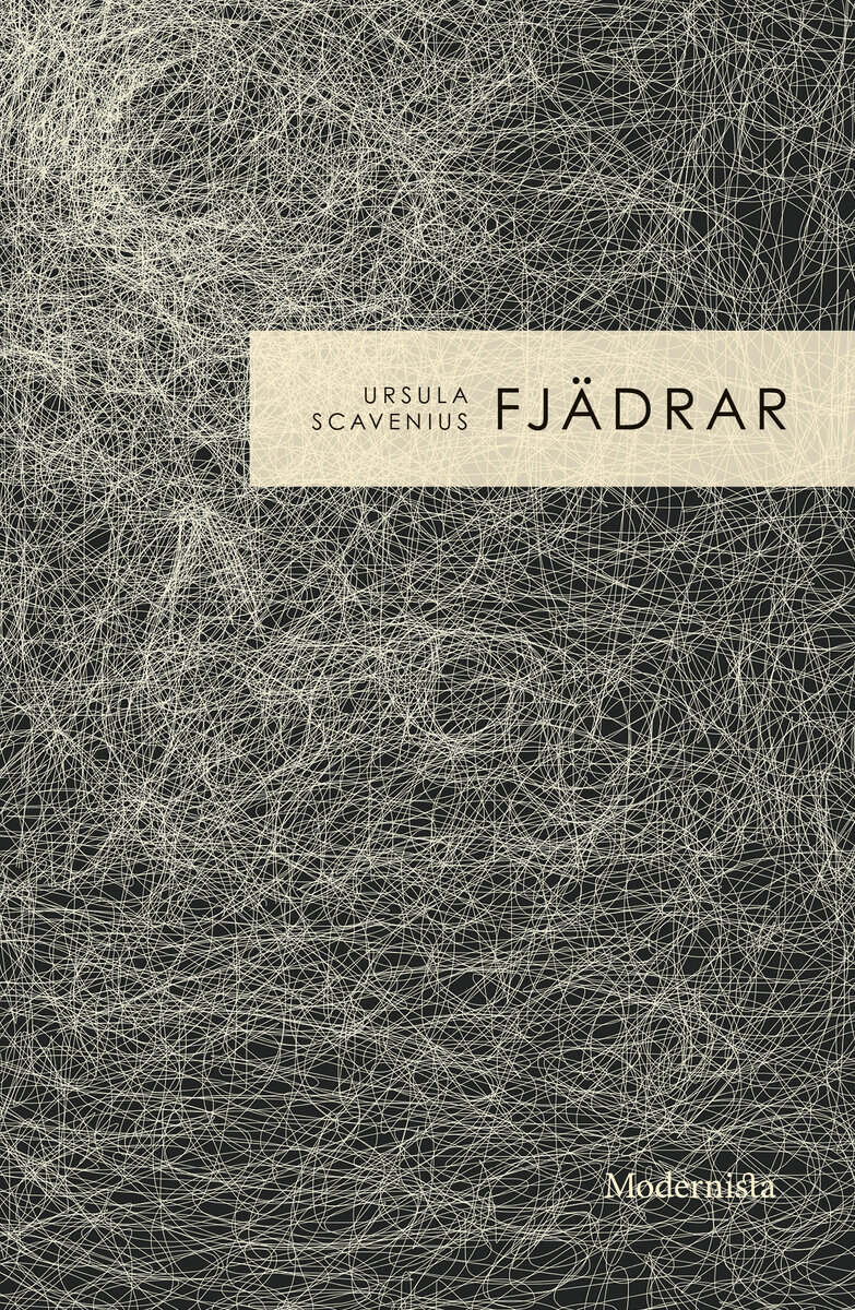 Ursula Scavenius : Fjädrar
