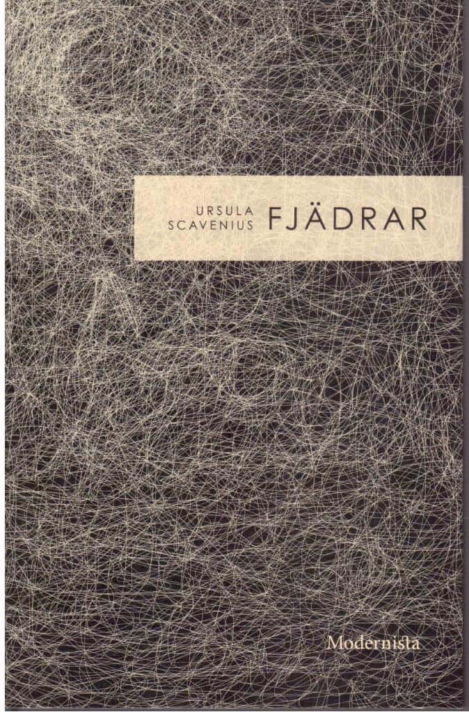 Ursula Scavenius : Fjädrar