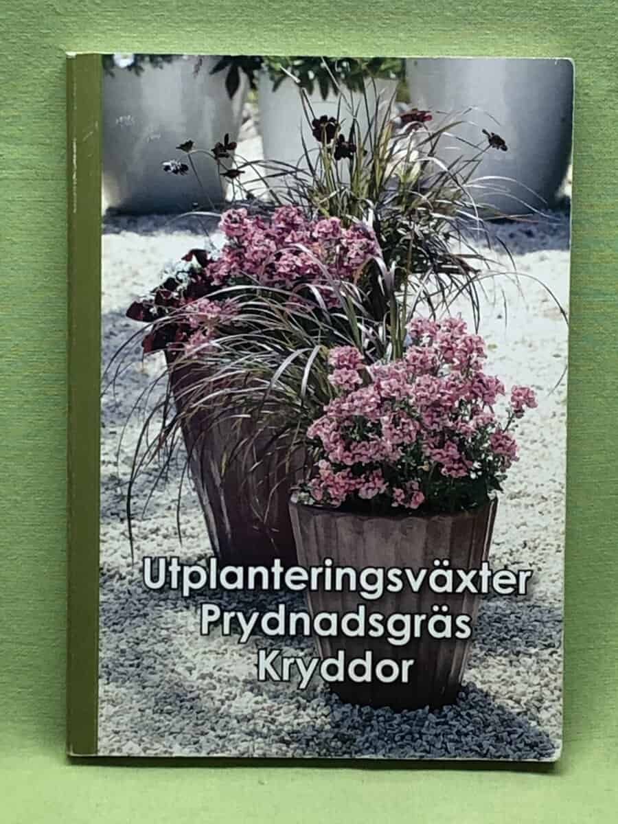 Utplanteringsväxter - prydnadsgräs - kryddor