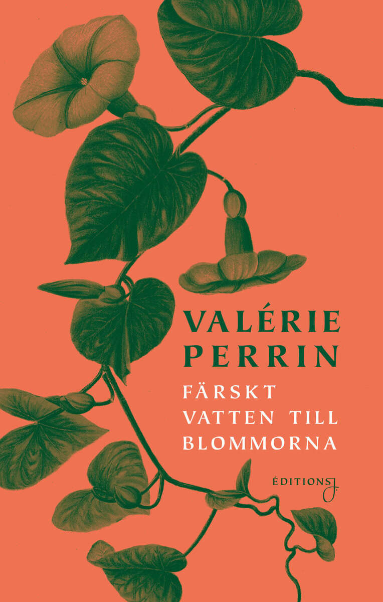 Valérie Perrin : Färskt vatten till blommorna