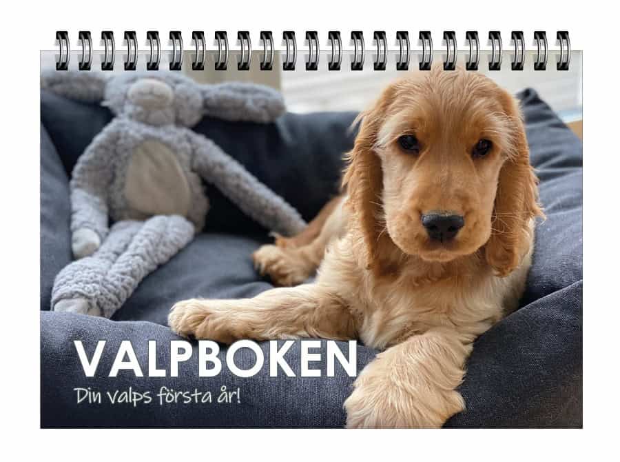 Valpboken