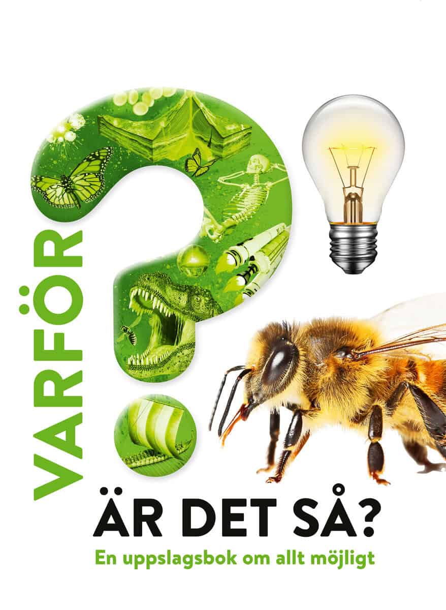 VARFÖR ÄR DET SÅ? : EN UPPSLAGSBOK OM ALLT MÖJLIGT : en uppslagsbok om allt möjligt