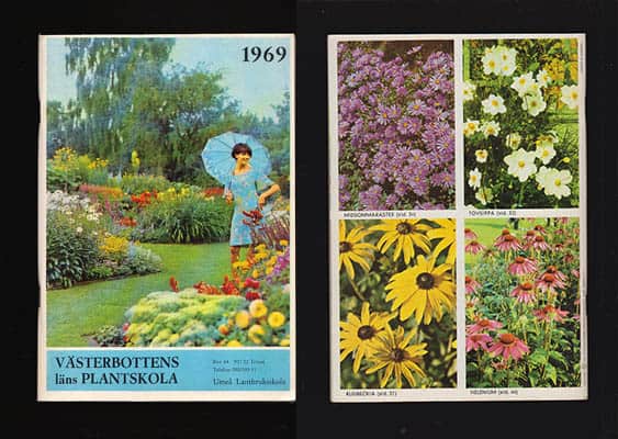 Västerbottens läns plantskola 1968 (Produktkatalog)