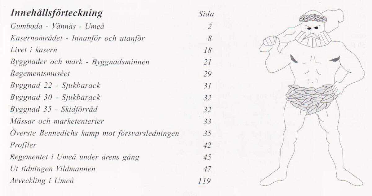 [Västerbottens Regemente ; I 20/Fo 61]. Hanell, Catarina [red.] : Medan vi ännu minns. Västerbotttens regemente 375 år. Jubileumsskrift