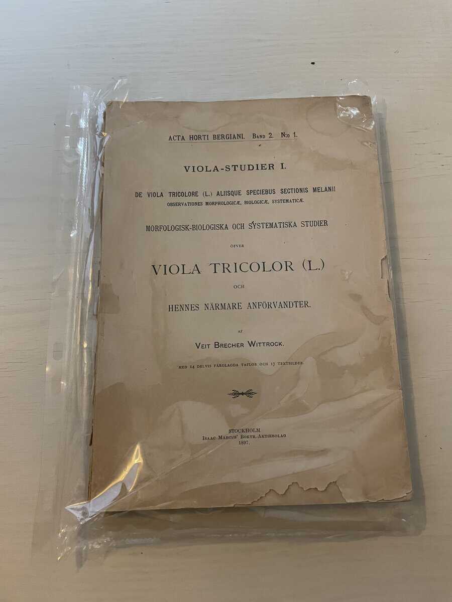 Veit Brecher Wittrock : Viola-studier I (1) - Morfologisk-biologiska och systematiska studier öfver Viola Tricolor