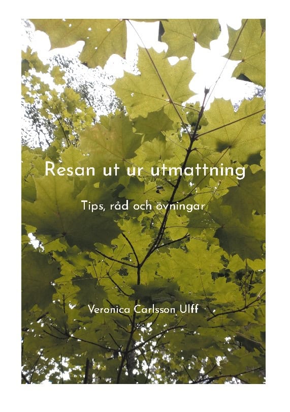 Veronica Carlsson Ulff : Resan ut ur utmattning