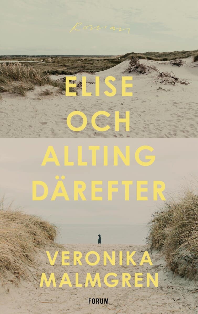Veronika Malmgren : Elise och allting därefter