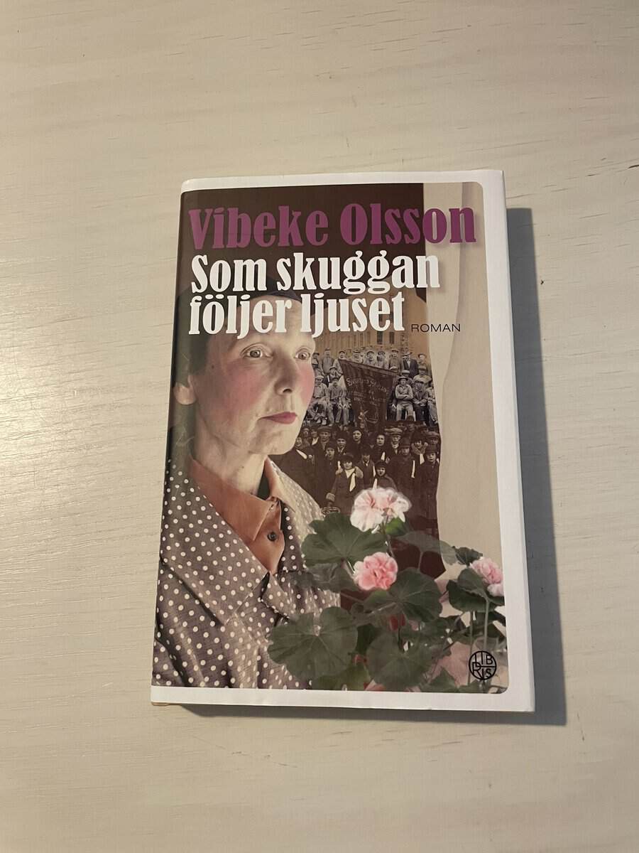 Vibeke Olsson : Som skuggan följer ljuset