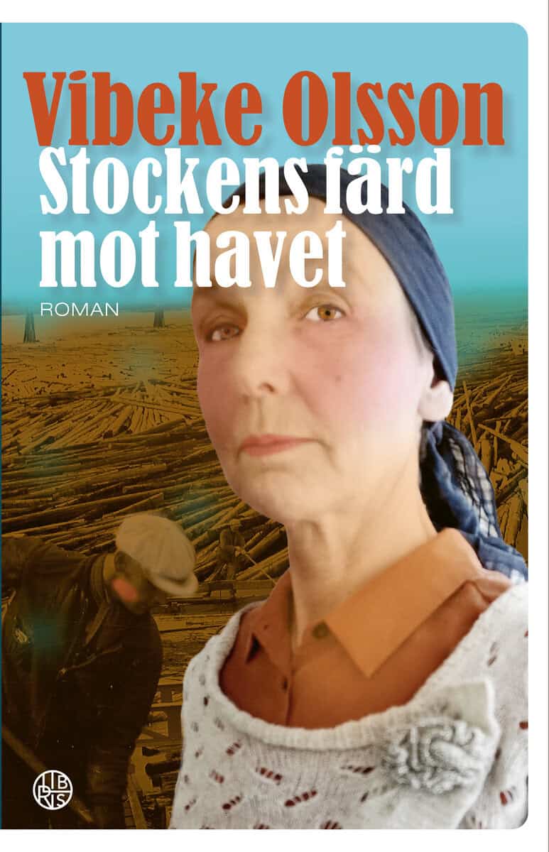 Vibeke Olsson : Stockens färd mot havet