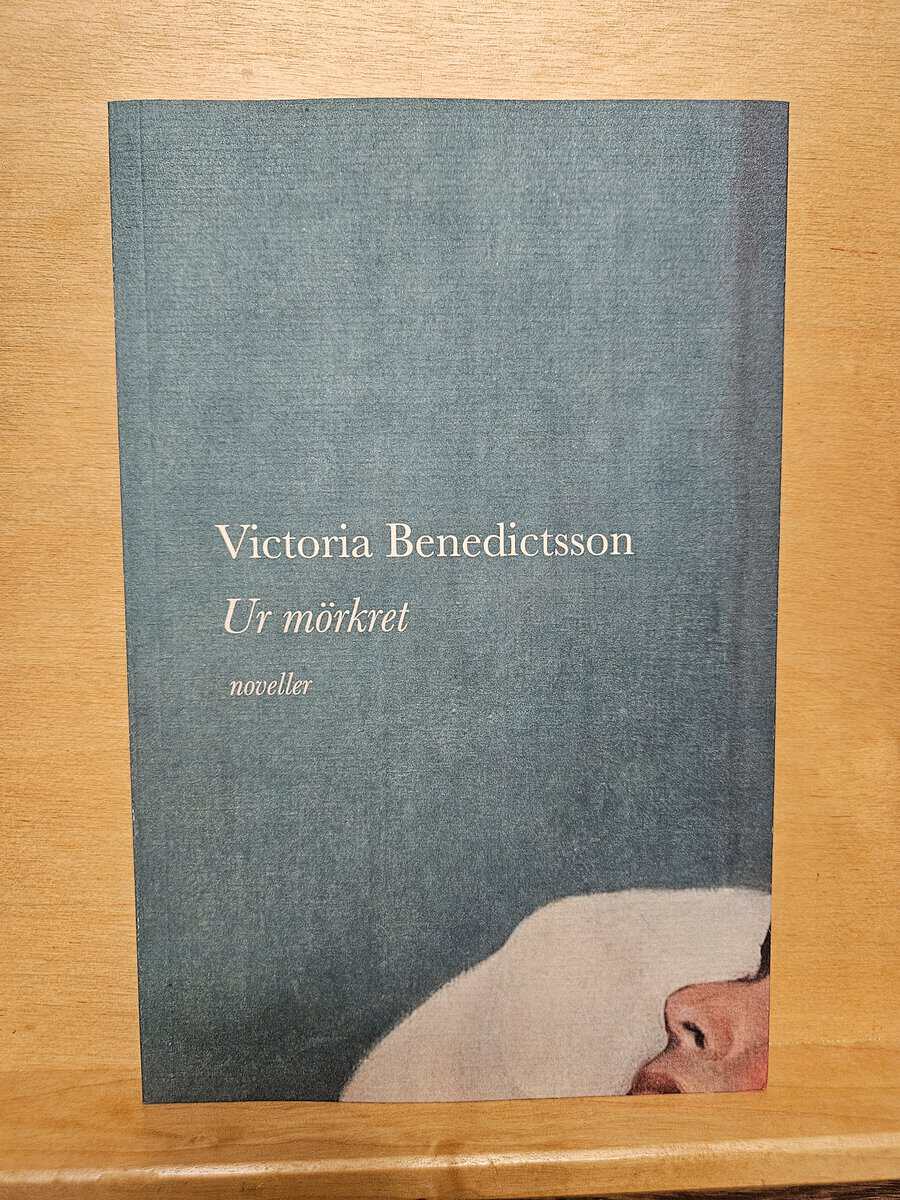 Victoria Benedictsson : Ur mörkret
