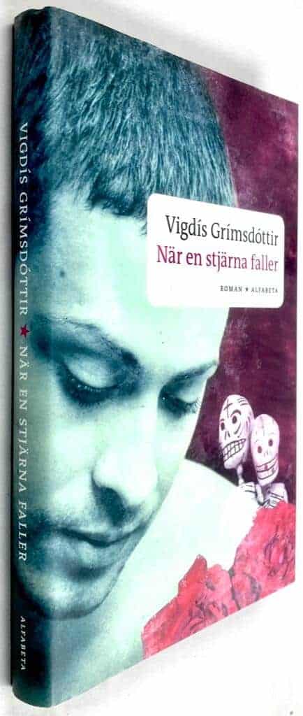 Vigdis Grimsdottir : När en stjärna faller