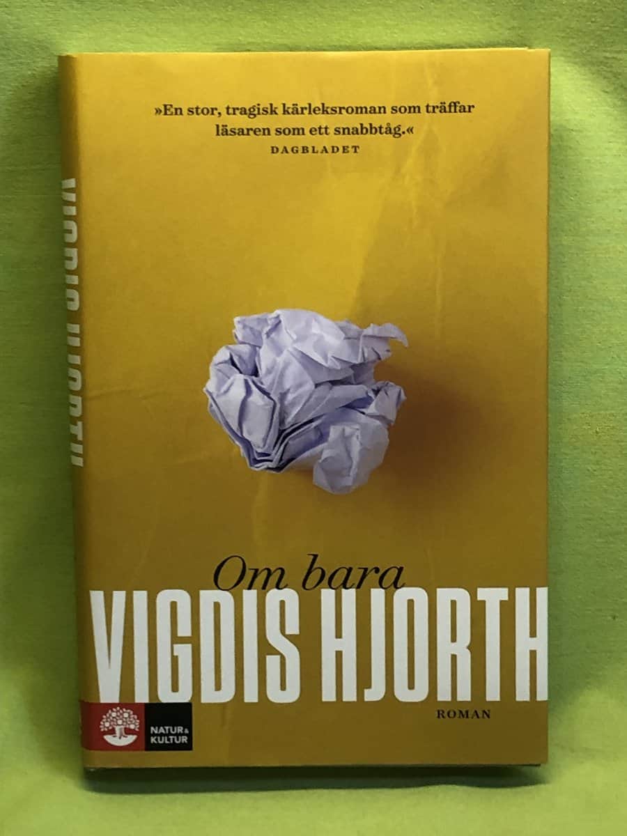 Vigdis Hjorth : Om bara