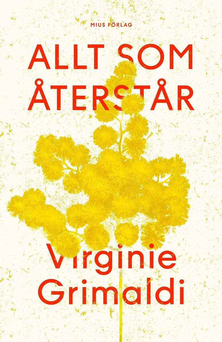 Virginie Grimaldi : Allt som återstår