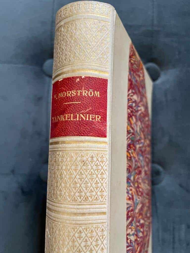 Vitalis Norström : Tankelinier [Nietzsche, Ellen Keys tredje rike m.m.]