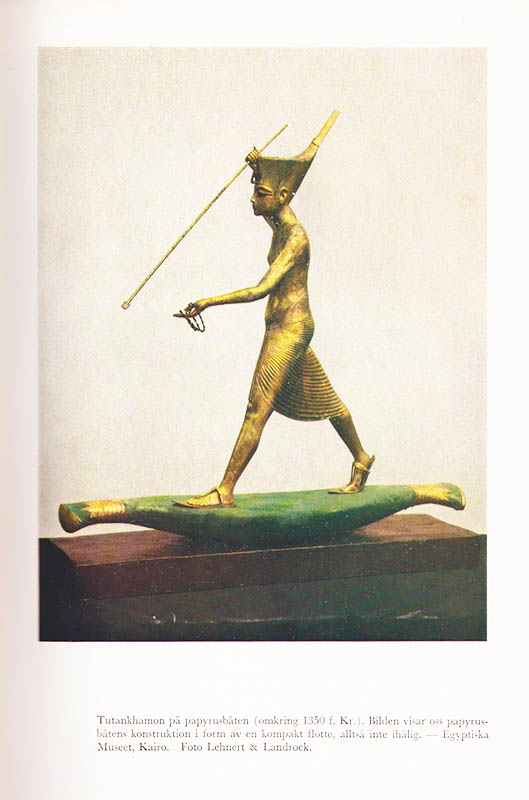 Vivi Laurent-Täckholm : Faraos blomster. En kulturhistorisk-botanisk skildring av livet i gamla Egypten byggd på verklighetens grundval och med bilder från de senaste årens grävningar