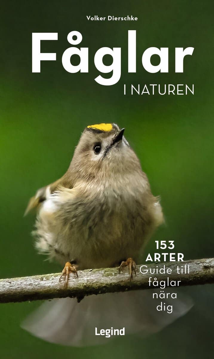 Volker Dierschke : Fåglar i naturen : 153 arter, guide till fåglar nära dig