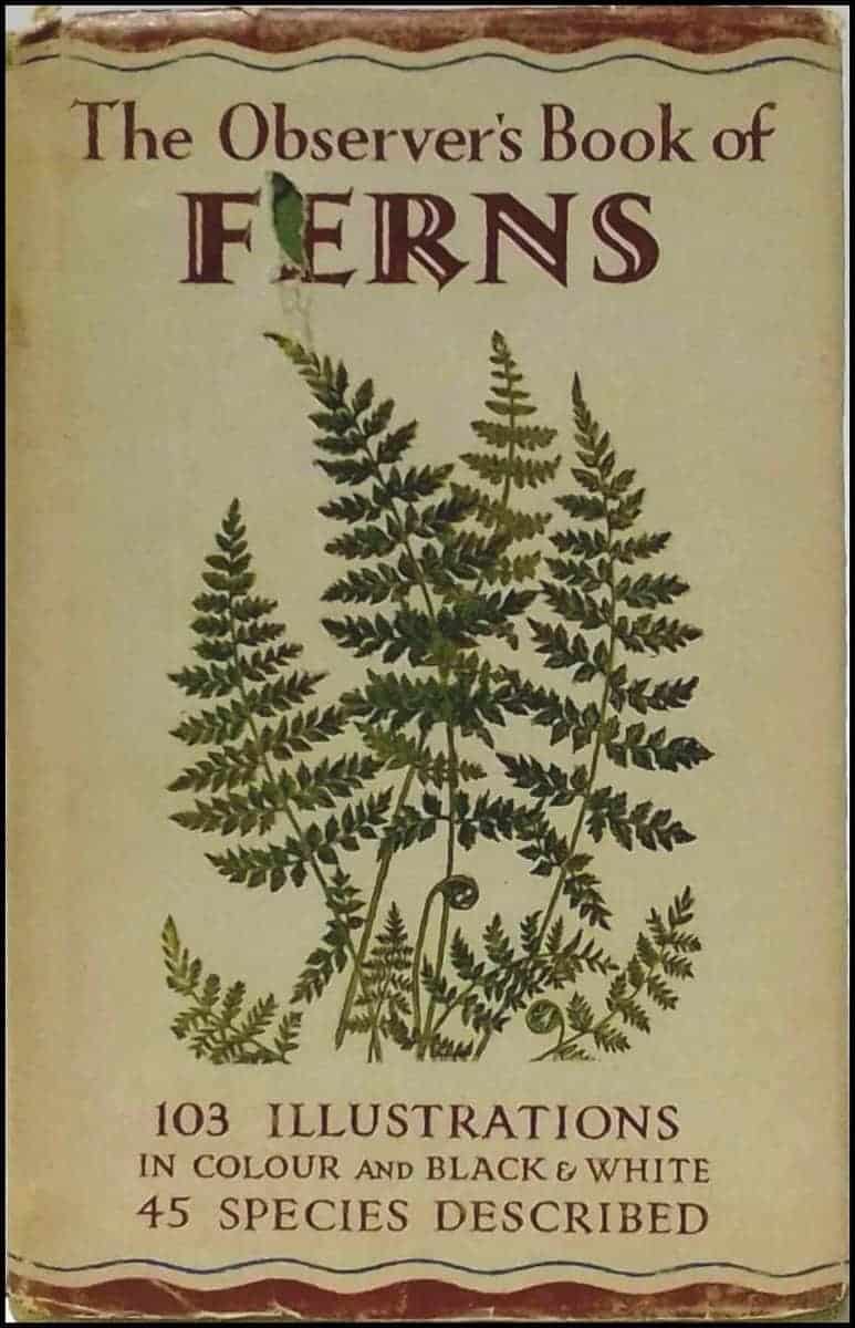 W. J. Stokoe : The observer's book of ferns