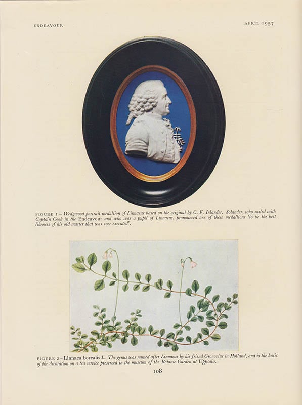 W. O. James : Linnaeus (1707-1778)