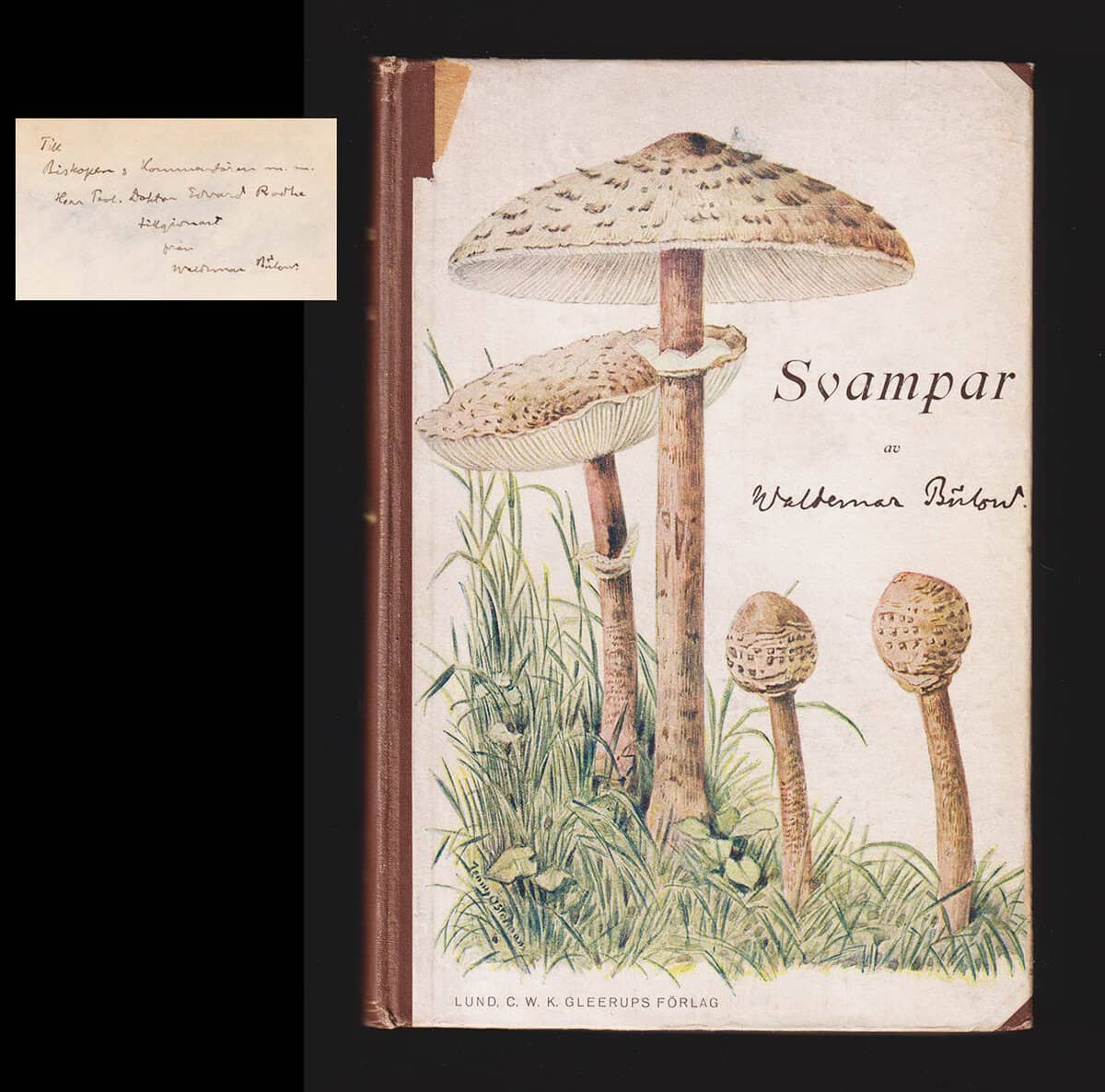 Waldemar Bülow : Svampar för hem och skola. Med inledning av professor Karl Petrén. En svampkarta och 111 bilder - 52 helsidesplanscher (deedikation)
