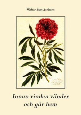 Walter Dan Axelsson : Innan vinden vänder och går hem